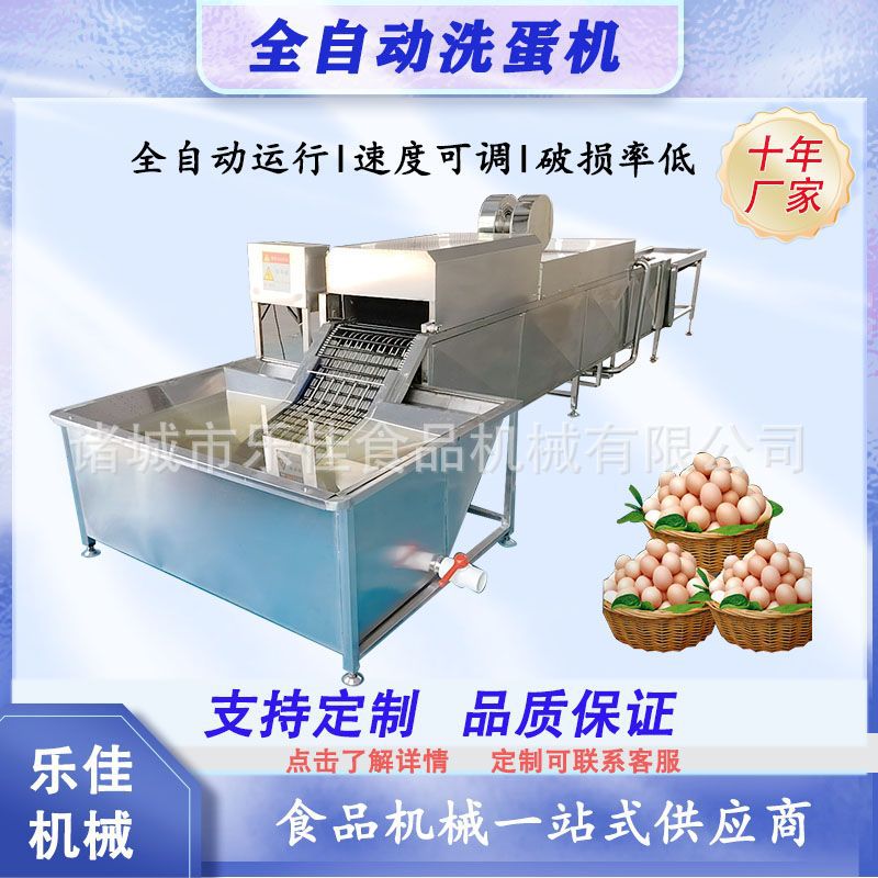 全自动双排蛋类去泥清洗机