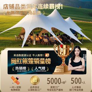 户外三峰双峰云顶万重山天幕帐篷穹顶八爪鱼露营超大尺寸彩色遮阳
