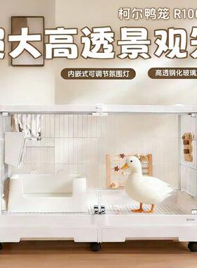 达洋R81pro/R81/R71轻奢柯尔鸭宠物鸡鸭兔荷兰猪笼易打理带抽屉