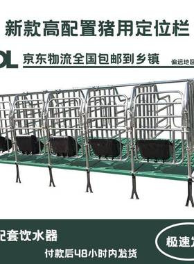 母栏猪定位栏23374离地猪用位带复合漏粪板猪圈猪栏养单限体母殖