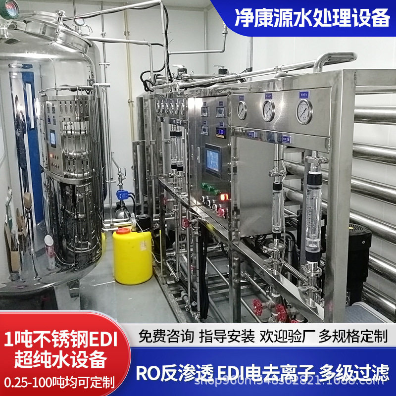 工业净水设备 不锈钢双级反渗透设备 1吨EDI超纯水系统