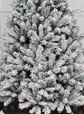 高档加密PVC雪花绒植圣诞店树城酒大堂家用摆饰圣BZW诞节装饰商品