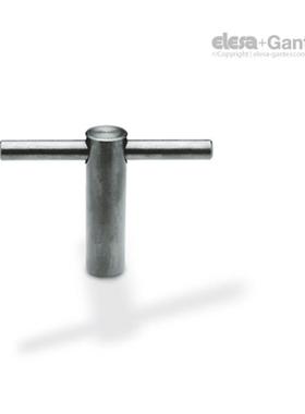 Eles特aGanter伊莉莎冈DIN6305卡式QDM螺母带固定导杆