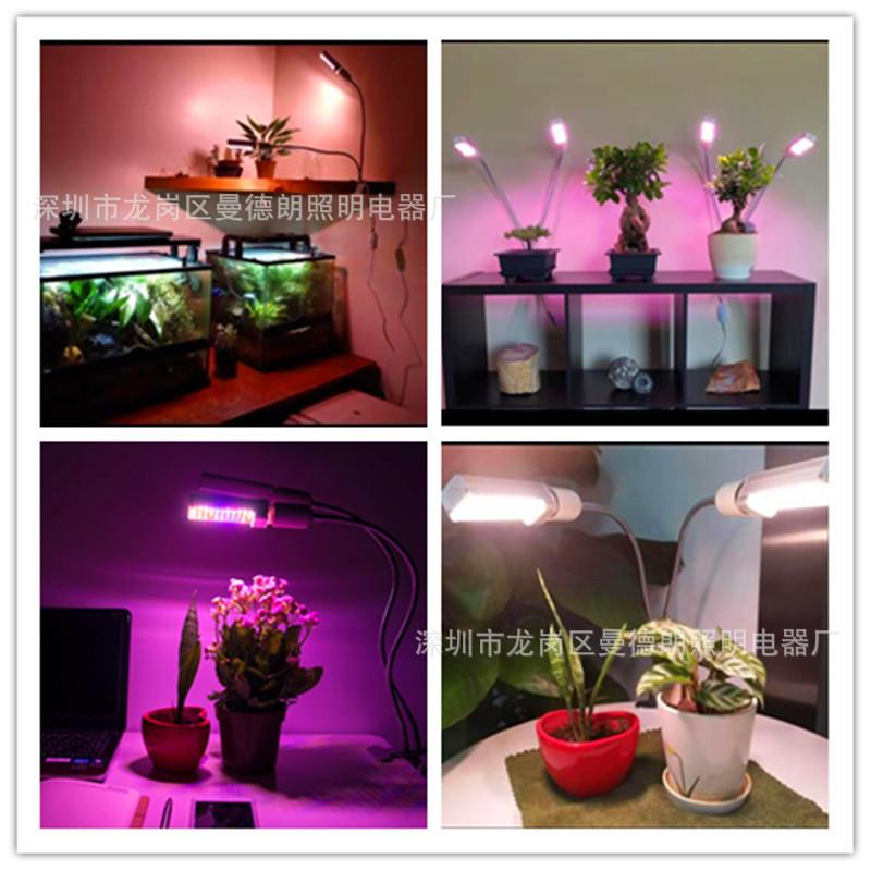 款50WLED夹子植物灯E新0192玉米灯植物7补生长灯全光谱植物光灯