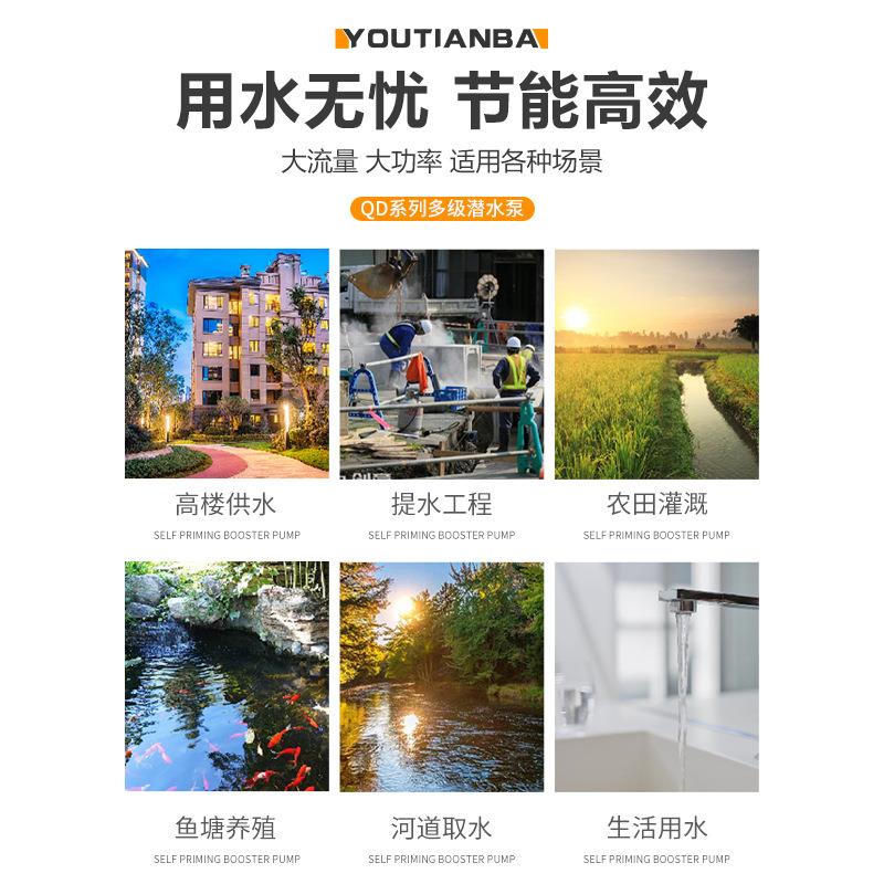 QD多级潜水260电泵高扬程用抽水农泵机工2地降水泵小老鼠家20用V3