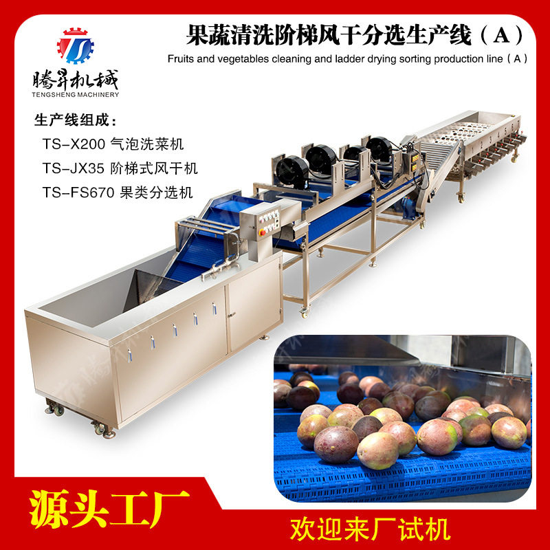 供应果蔬清洗阶梯风干分选生产线源头厂家生产线水果加工设备