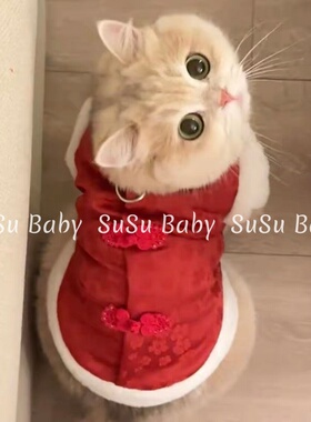 猫咪新年马甲冬季保暖加绒加厚红色喜庆宠物服装狗狗春节新年战袍