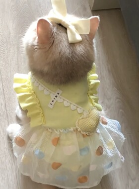 猫咪秋冬连衣裙甜美可爱荷叶边衣服狗狗小清新蝴蝶结裙子猫狗通用