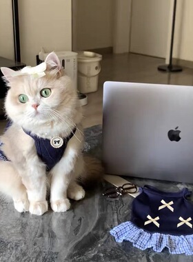 猫咪连衣裙春夏季学院风miu系蝴蝶结公主裙狗狗衣服夏装薄款吊带