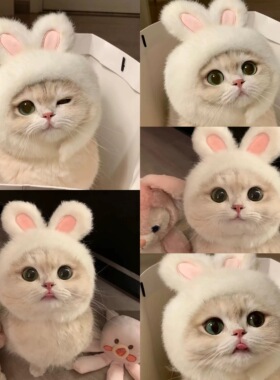 猫咪兔耳朵毛绒帽可爱变装狗狗头套拍照网红搞怪帽宠物通用头饰