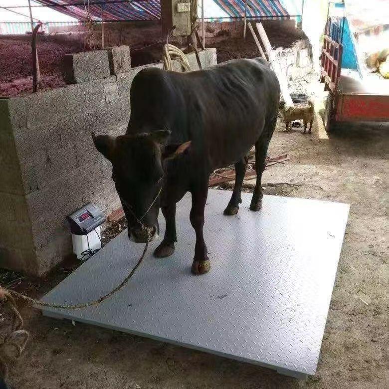 耀华地磅秤称猪牛3吨5吨家用工业地磅防抖动防控加厚无线电子地磅