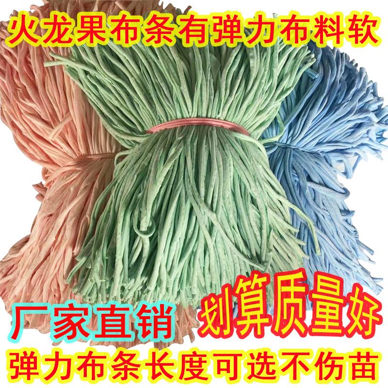 火龙果布条绑带定型尼龙弹力化纤棉短布条花椒捆扎绳帆布腰带枝条