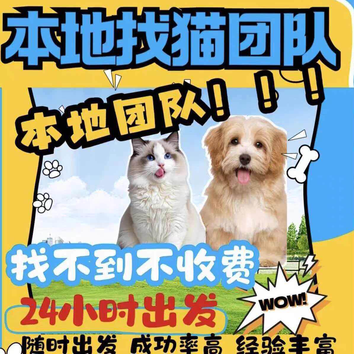 全国快速上门找猫寻狗-24小时快速上门找猫找狗寻宠团队