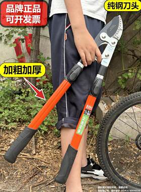 修剪树枝剪园艺粗枝果树园林大力竹子专用电花树枝伸缩动剪刀钳子