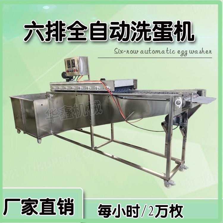 商用全自动六排洗蛋机 鸡蛋清洗机自动清洗设备 禽蛋清洗杀菌机