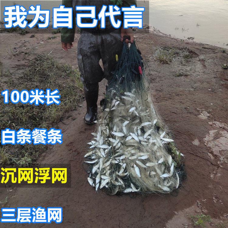 100米长三层渔网白条鱼网餐条粘网丝网小鱼网柔丝加重沉网丝网
