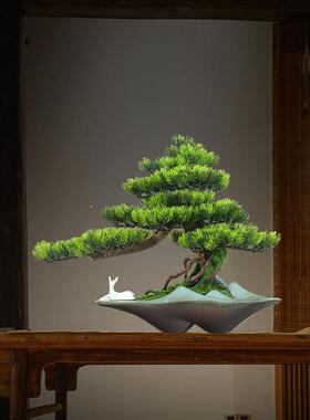 假松木图加绿色植物装饰模拟室内盆栽彷生绿化迎宾松木盆景