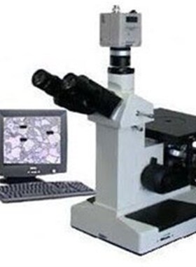上海光学4xc-ms倒置金相显微镜 三目金相分析显微镜  金相分析仪