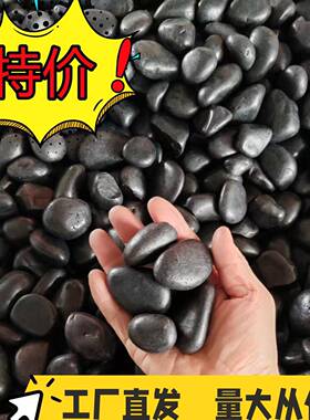 黑色铺路庭院公园装饰天然南京普通抛光雨花鹅卵石子户外造景一吨
