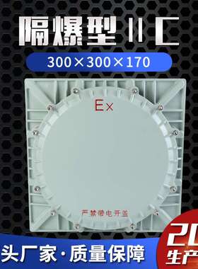 隔爆型ⅡC 300×300×170C级防爆接线箱配电箱仪表箱控制防爆箱