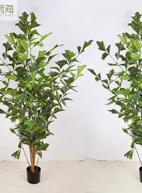 仿真绿鱼尾葵盆栽旅人蕉芭蕉树植龟58635背竹落地内橱窗物植角设