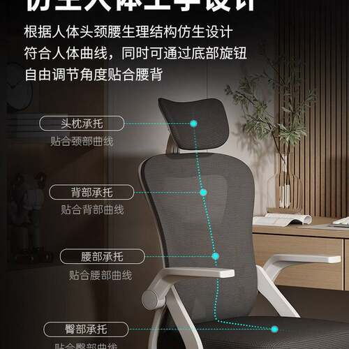 电脑椅久坐舒适办公椅家用学生学习椅可升降人体工学书桌电脑椅