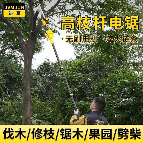 锂电电高锯林枝电动高枝剪伸缩加长杆充电式无品牌/链锯园树枝修