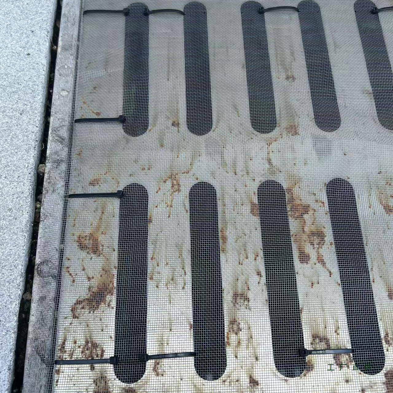 下水道盖防ZMQ蚊网纱井防蚊遮蚊子挡泥水盖地遮挡蚊虫