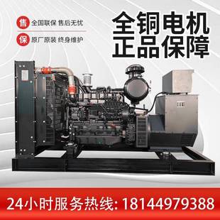 柴油V电机组200K厂家直售 120上柴股份开架式 806674发 10A0