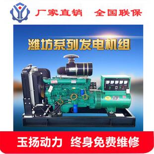 长治100kw发电机畜牧养殖业备用电源1全00千无瓦铜刷机发WF-100电