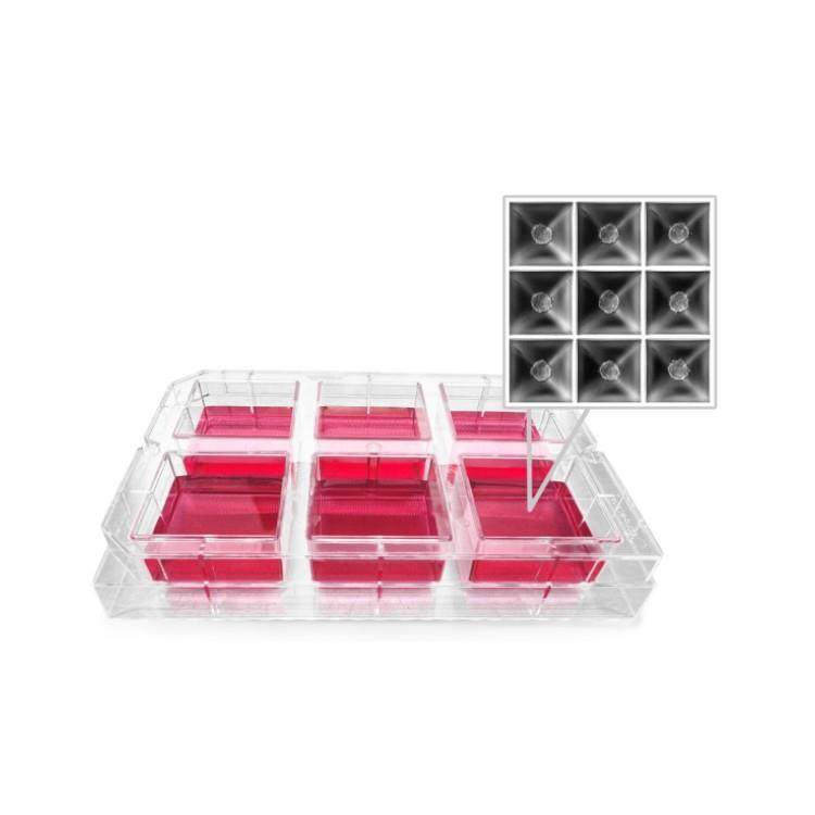 瑞士Sphericalplate 5D6孔3D 细胞培养板-一次培养3364个细胞球体