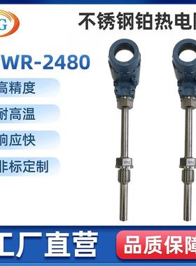 SBWR-2480防爆数显铂热电阻 插入式一体化铂热电阻
