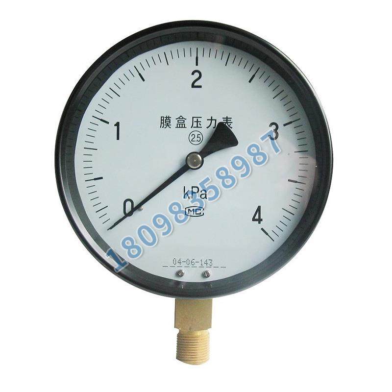 安徽天长仪表仪表膜盒压力表 YE-100B 0~1KPa SUS304
