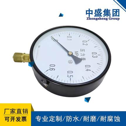 不锈钢隔膜压力表Y-100BF/MF/F4/TAO-0.25 DN25