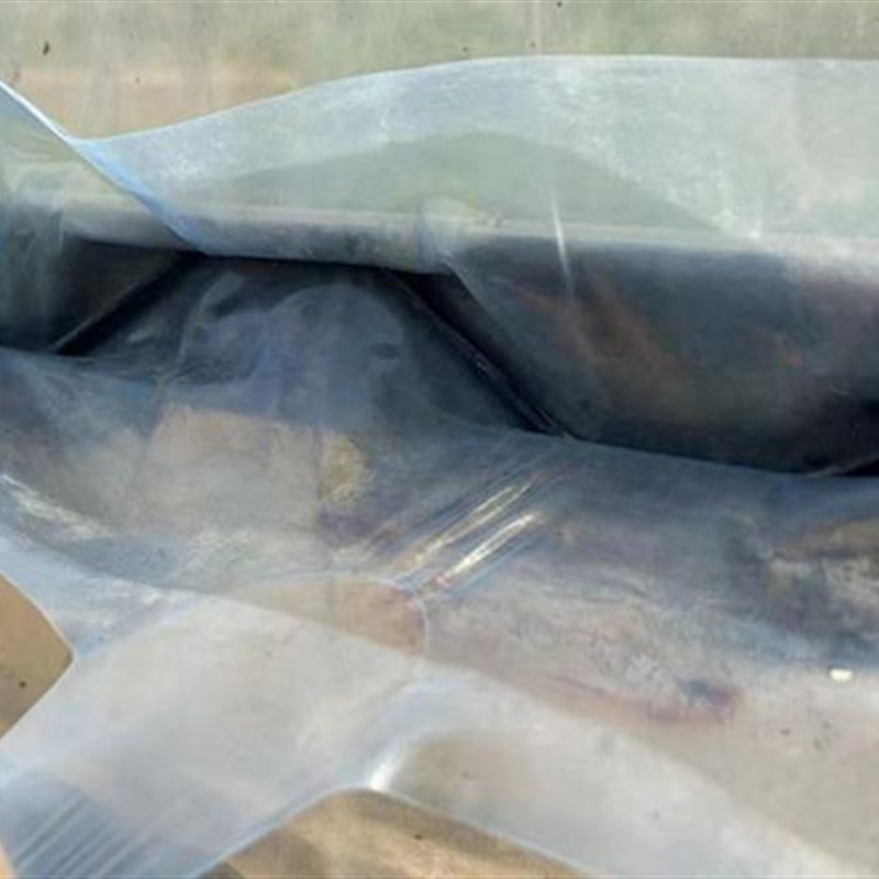 大棚卡槽垫膜带 温室塑料布保护带 卡簧垫带棚膜条 薄膜