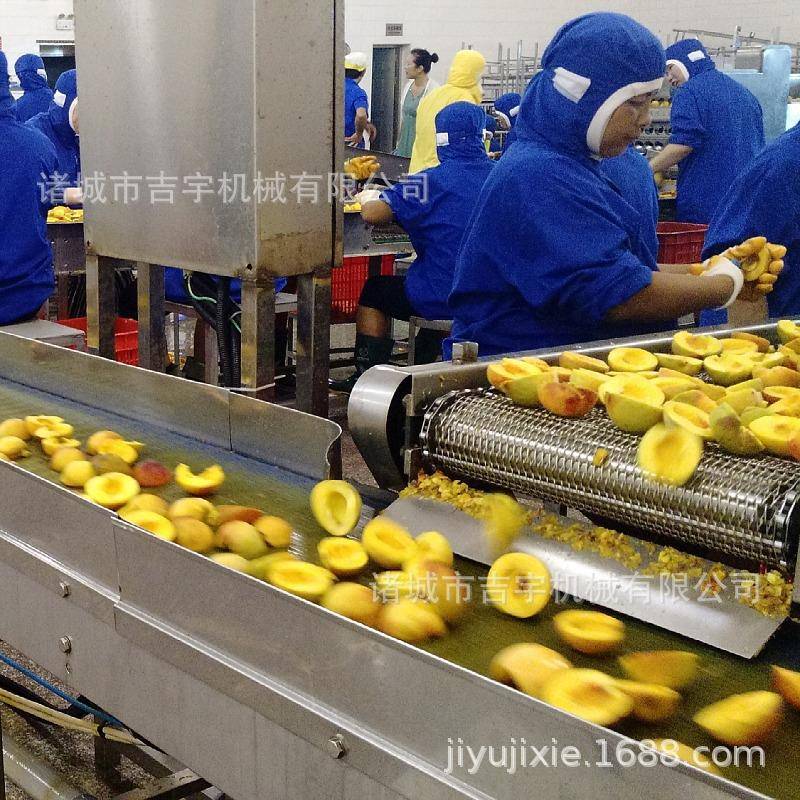 黄桃罐头蒸汽去皮机黄桃罐头加工设备水果罐头加工成套设备