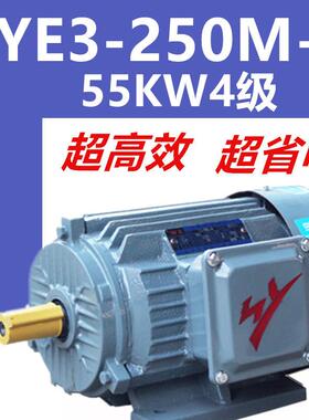 55KW4级电机YE3-250M-4三相异步电动机千瓦国标铜芯380V二级能效