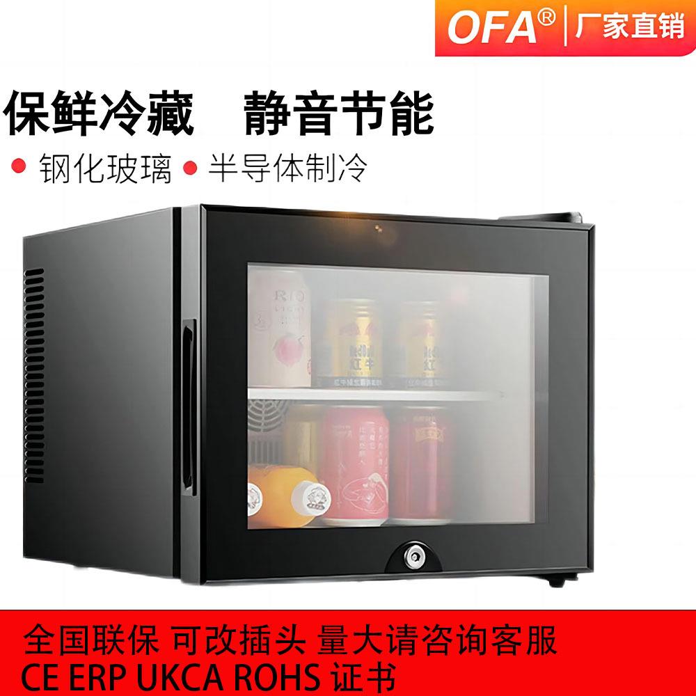 静音家用节能民宿酒店客房小冰箱半导体小型保鲜迷你冰箱冰吧