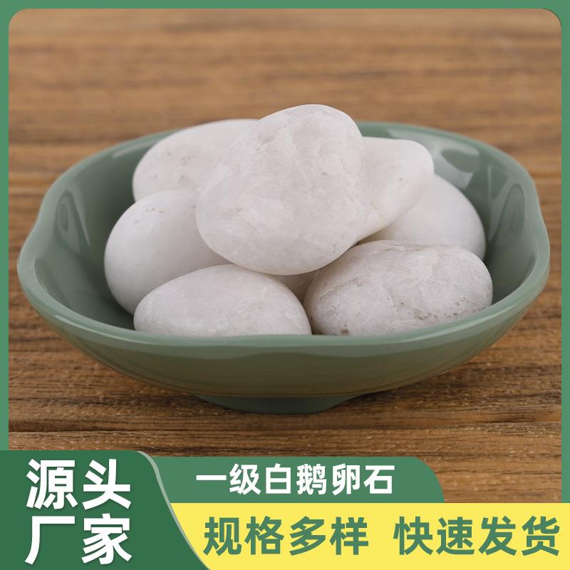 深圳直售一级白鹅卵石园林庭院汉白鹅卵石造景铺面雨花石机制白石