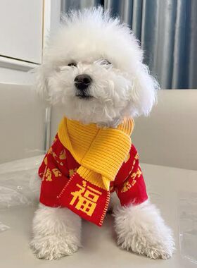 新年恭喜发财宠物毛衣红色喜庆猫咪针织衫狗狗秋冬保暖衣服送围巾