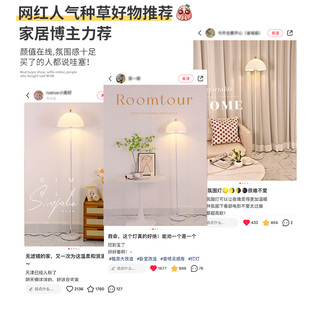 法式奶油风落地灯客厅沙发旁边轻奢高级设计感网红卧室床头氛围灯