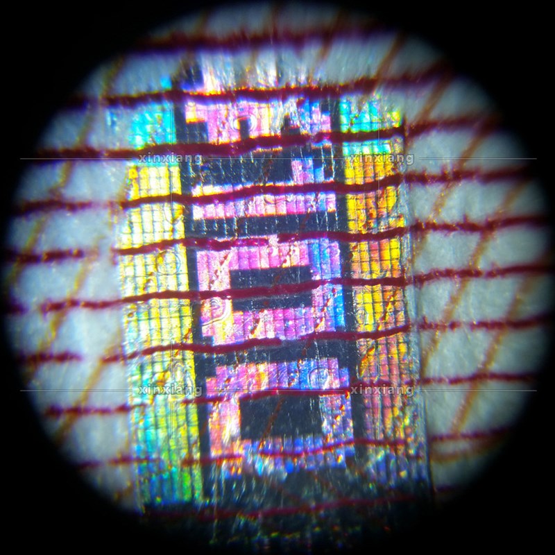 便携式20-40倍放大镜带LED多功能带底座安化黑茶金花高清显微镜