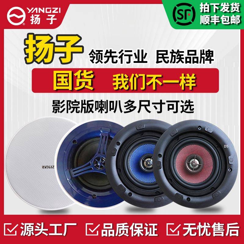 扬子同轴吊顶吸顶音响喇叭嵌入式影院版店铺餐厅酒店背景音乐广播