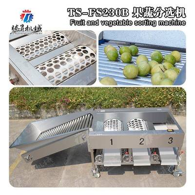 自动柑橘选果机 柠檬筛选分级机 果场专用滚杠选果机 水果分选机