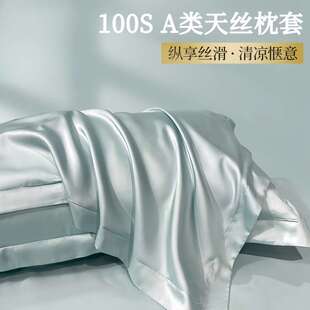 天丝夏季枕套双面真丝一对装高支冰丝凉整套48x74cm轻奢