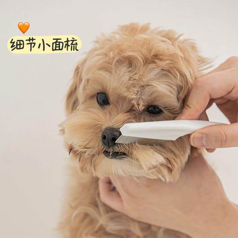 宠物猫狗迷你嘴毛梳密齿小排梳面梳整理刮眼清洁面部小型犬梳子