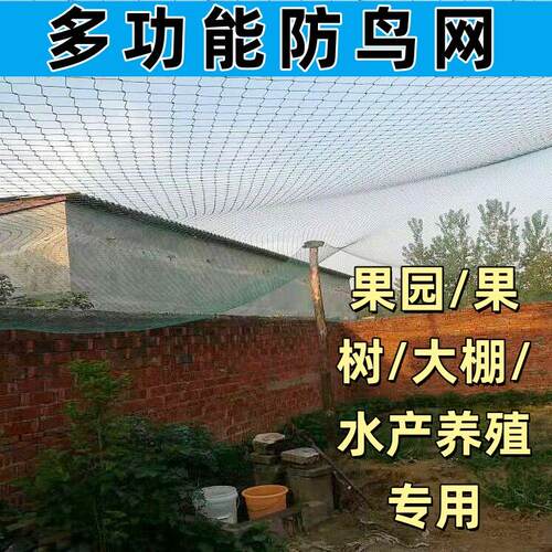 庭院防鸟网果园大棚围栏网樱桃树拦鸟网子果树尼龙网果树拦鸟网子