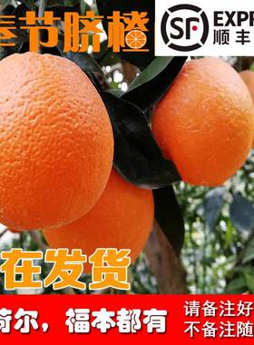 重庆奉节脐橙纽荷尔福本孕妇新鲜带叶现摘水果橙子10斤20甜鲜礼盒
