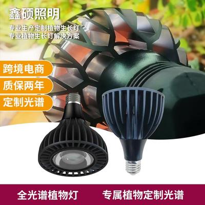 Par30植物灯全光谱块根蕨类生长灯室内多肉补光灯育苗植物灯