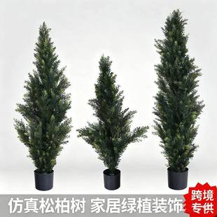 仿真绿植松柏树室内家居落地装饰盆栽酒店商场橱窗造景摆件假植物